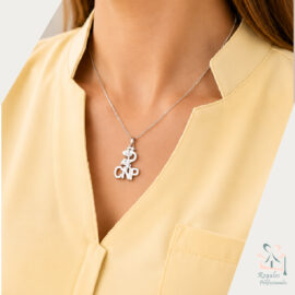 COLLAR NUTRICION PLATA