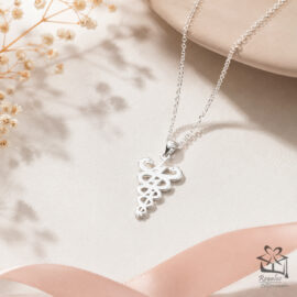 Collar de Plata Fisioterapia